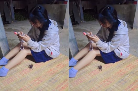 sex sub my Phạt địt nát lồn em Trang KCN Sóng Thần vì tội ngoại tình